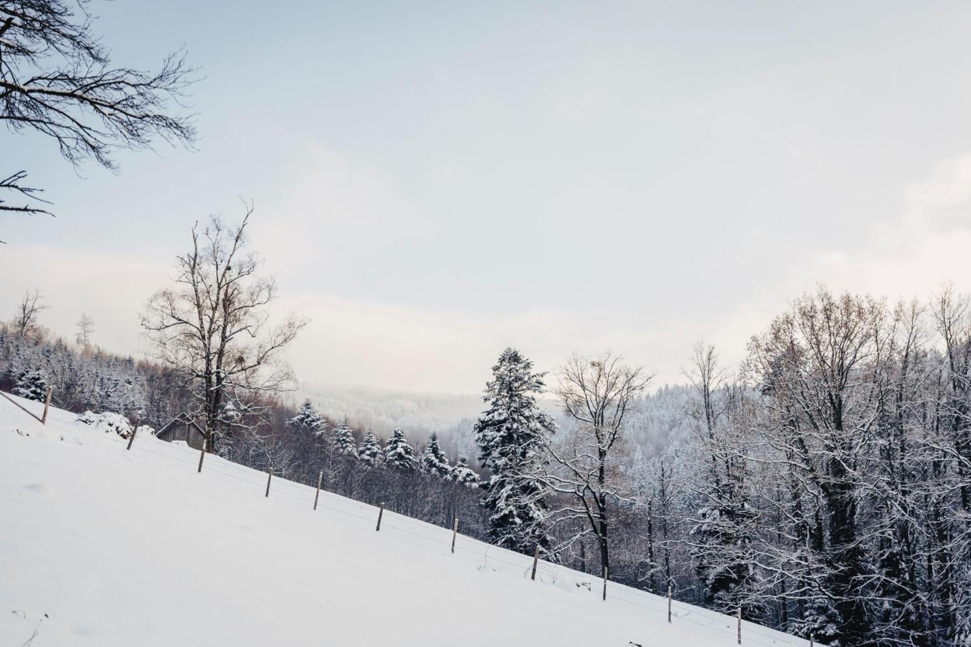 Waldjuwel Mostviertel Allhartsberg 외부 사진